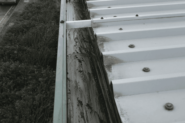 Commercial gutter cleaning specialists in Kempston